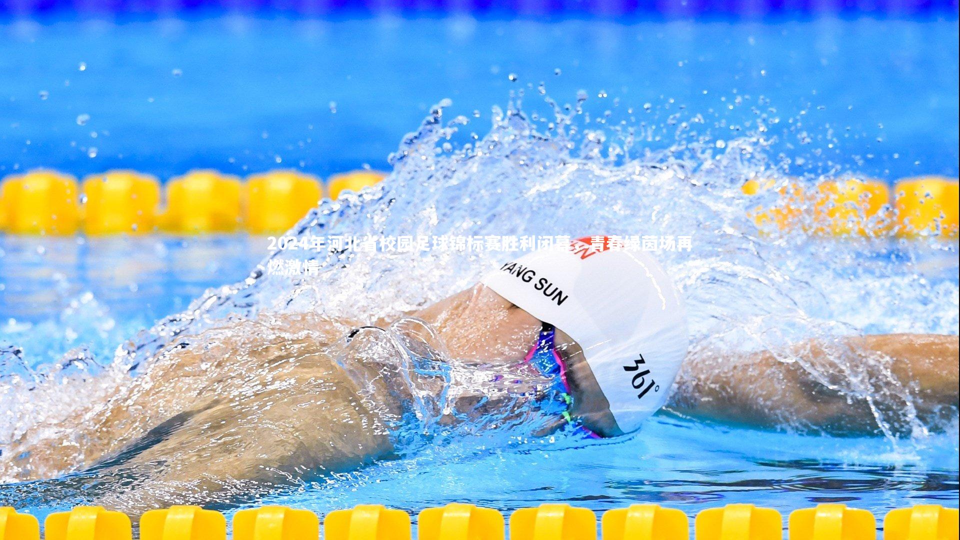 2024年河北省校园足球锦标赛胜利闭幕,青春绿茵场再燃激情